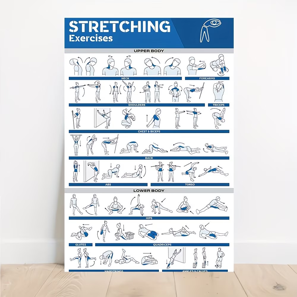 Home Gym Full Body - Moderne gelabelde full-body stretchs voor sportschool