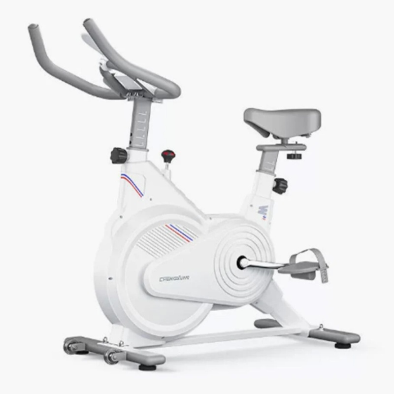 Home Gym No Equipment - Indoor hometrainer, stille magnetische weerstandstrainer met