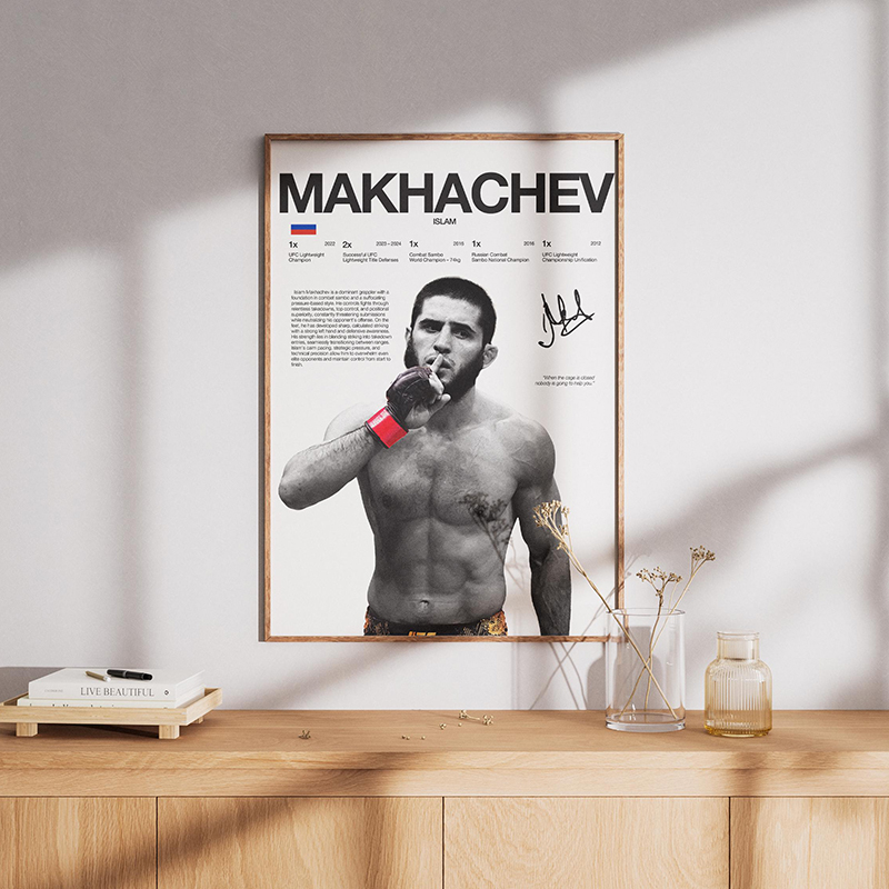 Beroemde bokslegendes vechten  - Home Gym Mma recensie en prijs