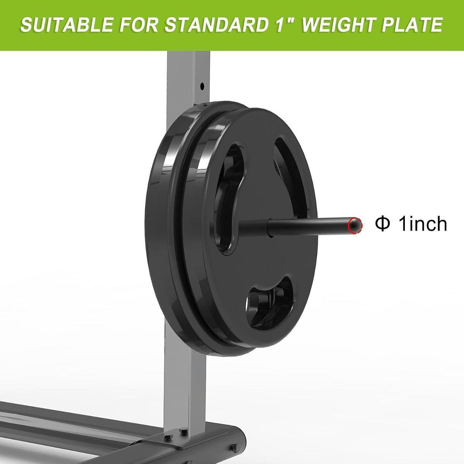 Ruimtebesparende halterplatenh - Home Gym Organization recensie en prijs